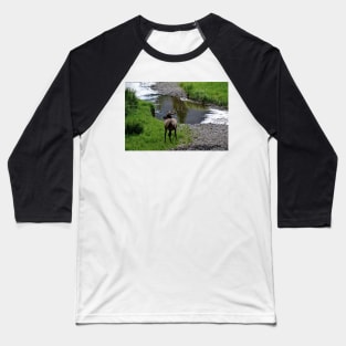 Bull by the River Baseball T-Shirt